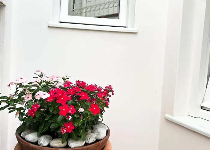 Sain Charming 게스트하우스 3*