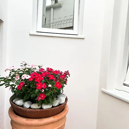 Sain Charming Guest house 3*